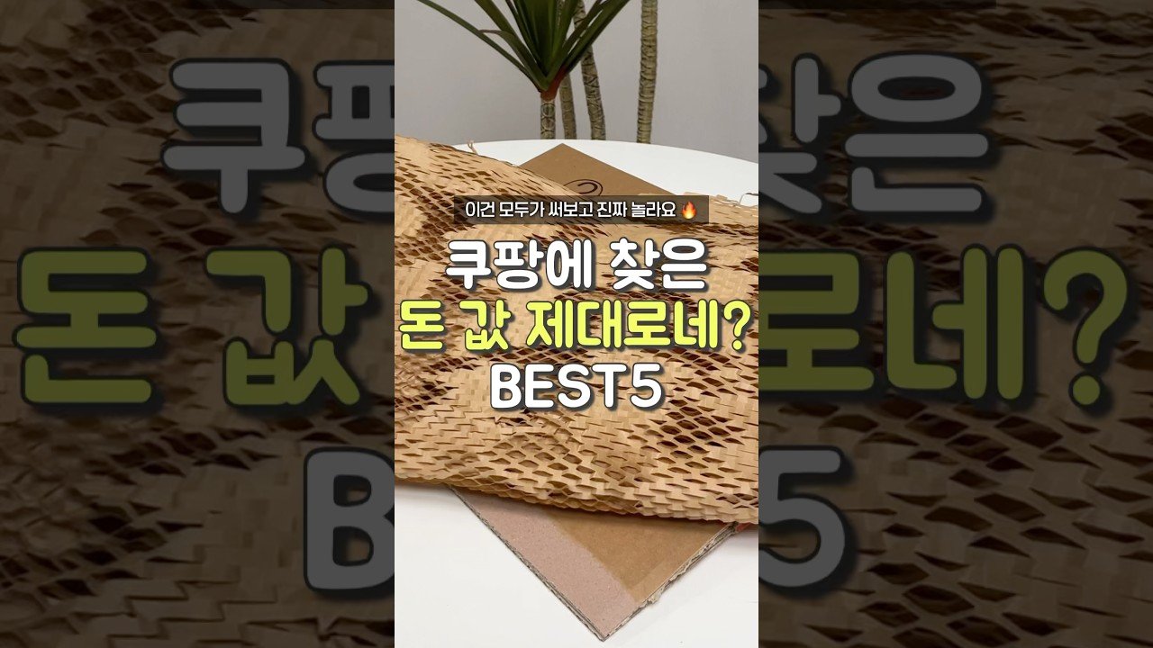 돈 값 제대로하는 쿠팡 추천템 소개