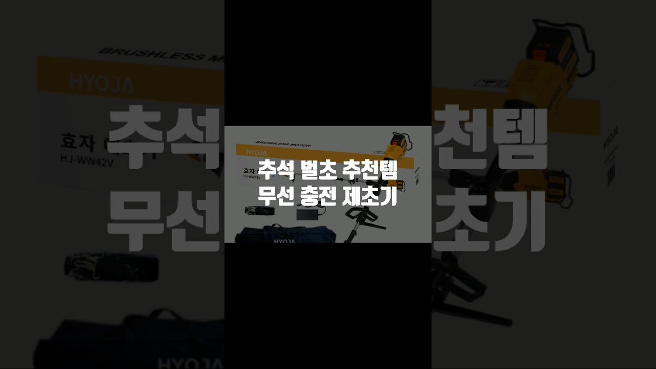 추석 벌초 추천템으로 효자 예초기