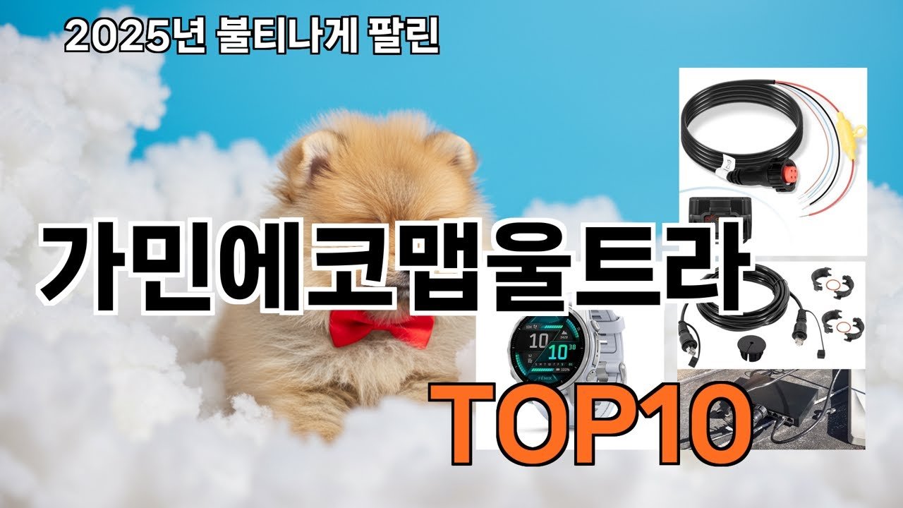 가민에코맵울트라 쿠팡 가성비 갑 리뷰 수가 말해준다