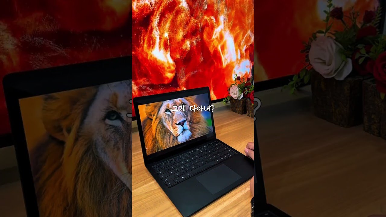 가성비 최고의 마이크로소프트 노트북 추천