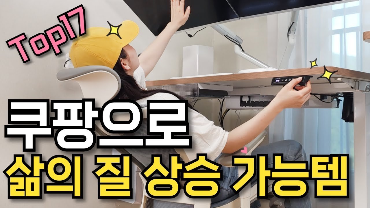 쿠팡에서 내가 꿈꾸던 듀얼 모니터 셋업