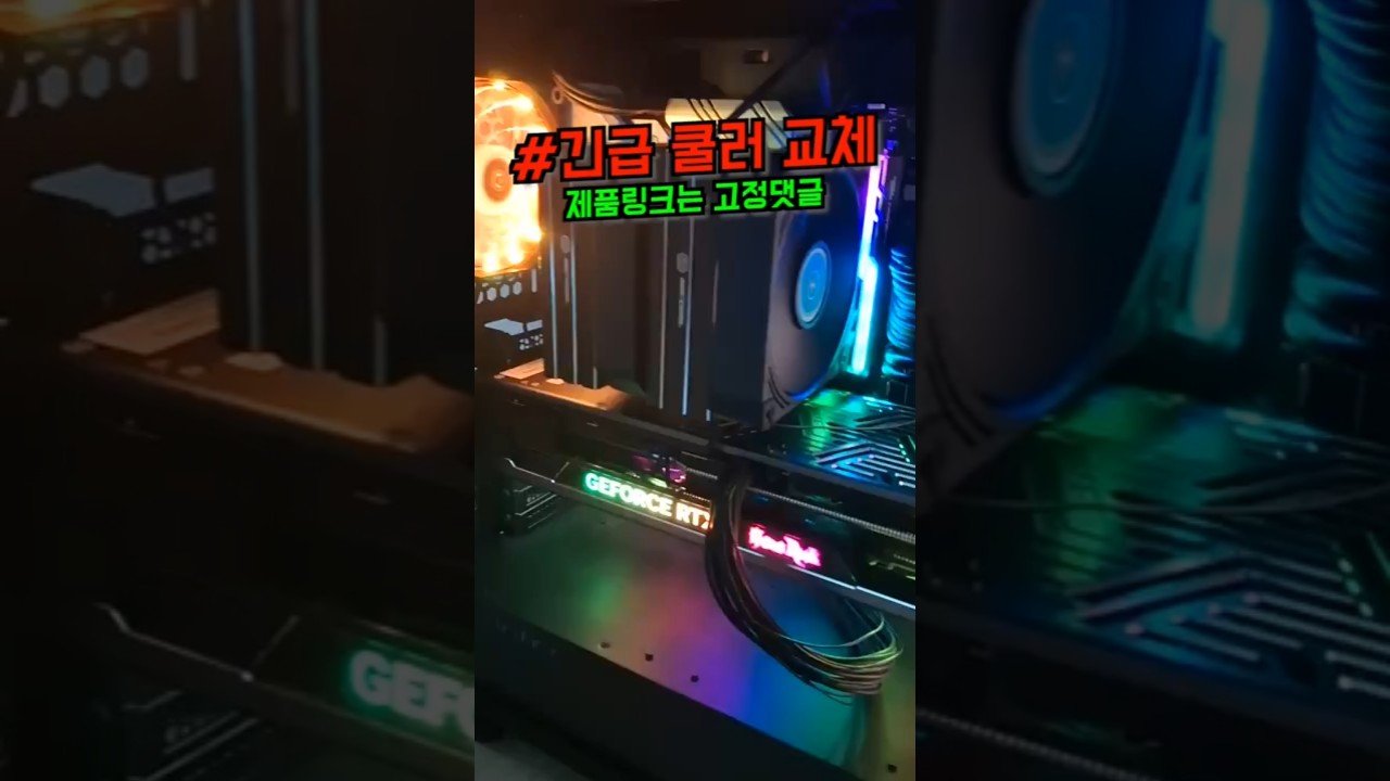.jpg