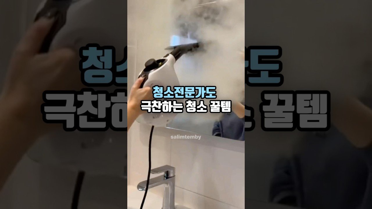 청소 전문가가 극찬한 스팀청소기로 집안 청소하기