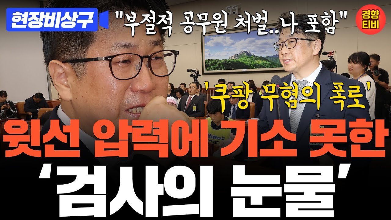 국감 발언 중 눈물 흘리는 정의로운 검사