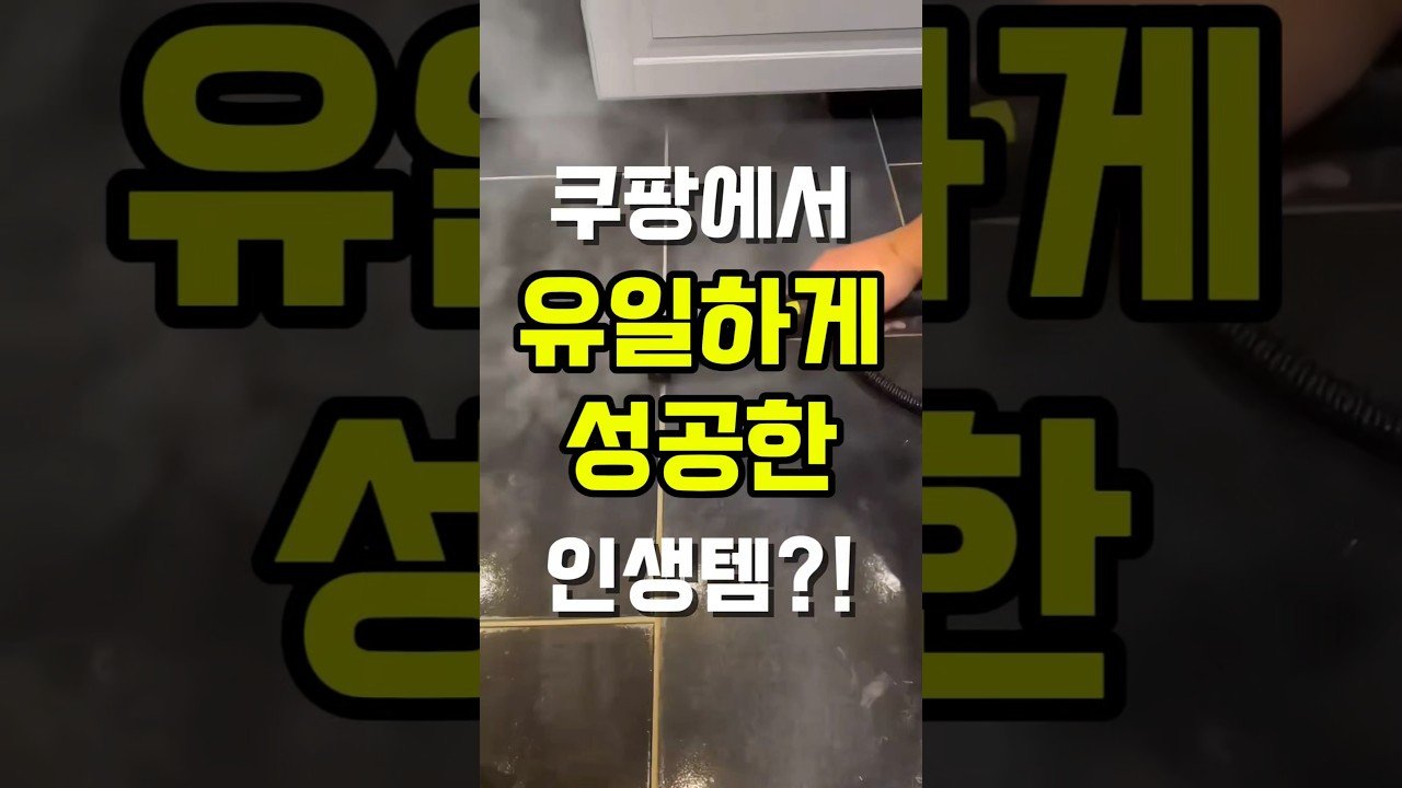 쿠팡에서 내가 유일하게 성공한 인생템?! 스팀청소기 리뷰