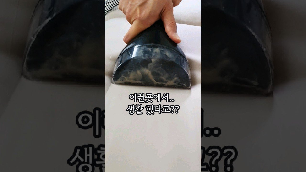 쿠팡에서 찾은 패브릭소파 청소기로 살림팡의 비법 공개