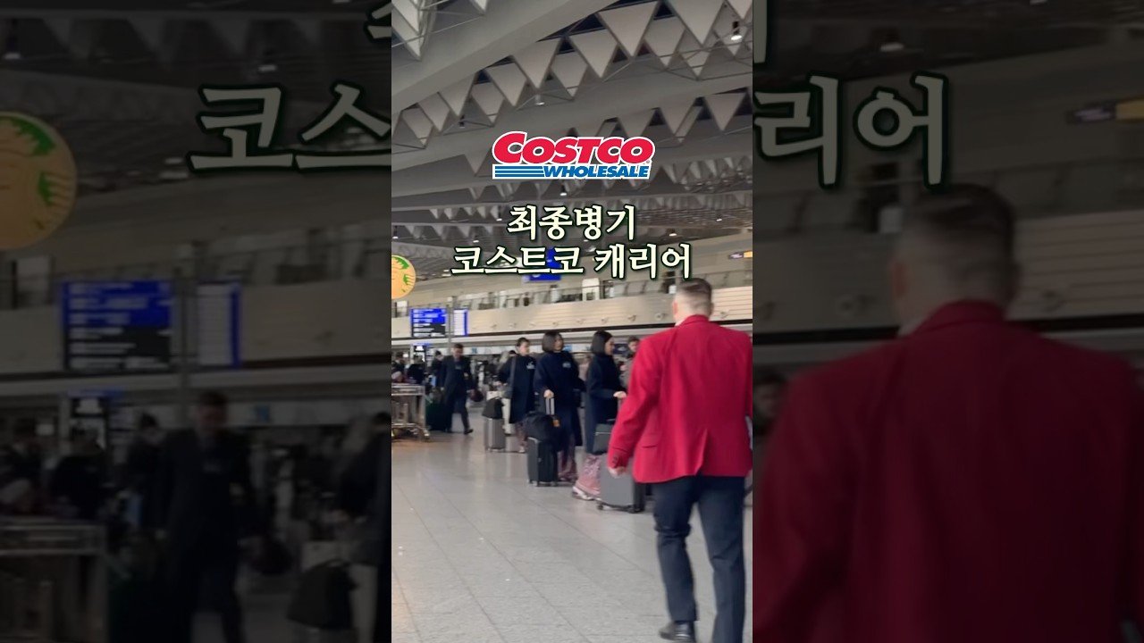 공항가면 다 캐리어 이거더라.. 코스트코 추천템