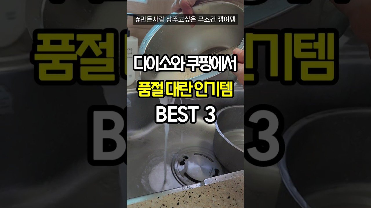 인기템 구매 후기: 다이소와 쿠팡에서의 품절 대란