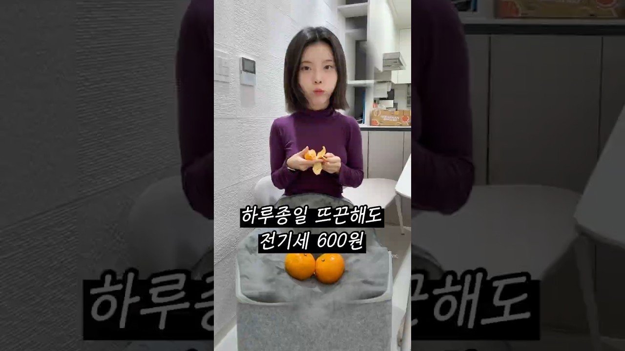 내돈내산! 겨울에 따숩게 귤까먹기 위한 미니코타츠 추천