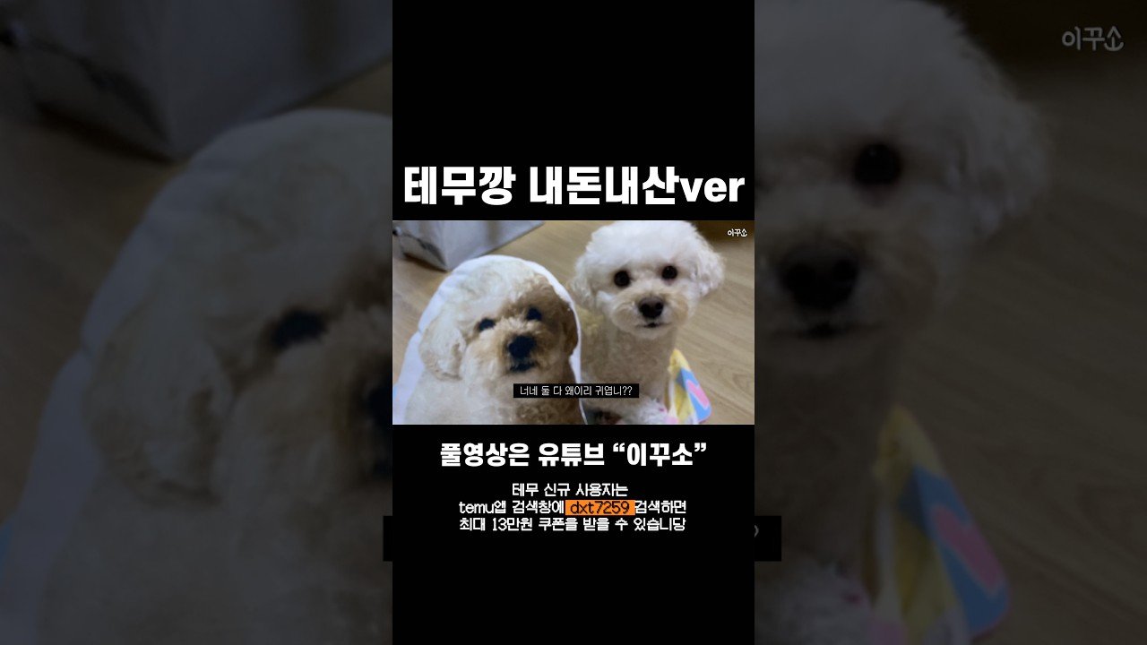 내돈내산 테무깡의 모든 것