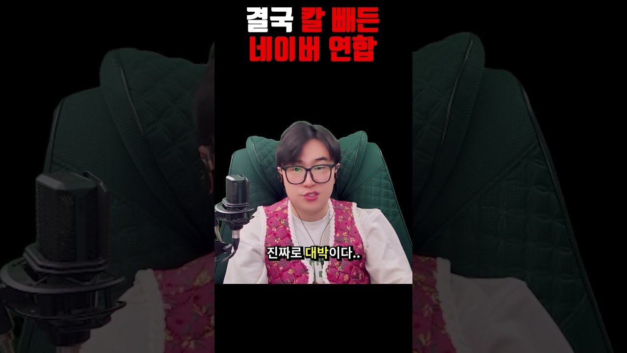 쿠팡 주춤할 때 네이버 연합의 반격