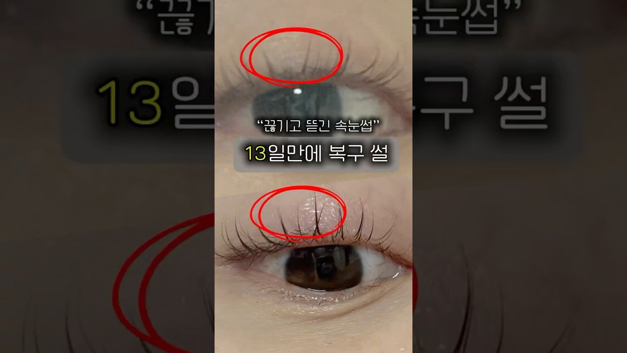 내돈내산 속눈썹영양제 리얼리뷰