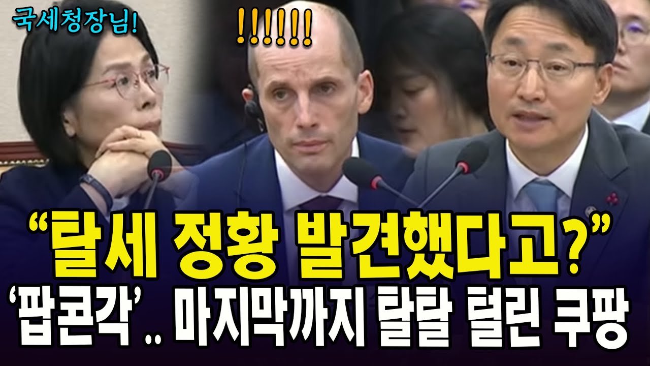 탈세 정황 발견했다고? 쿠팡의 진실은 무엇인가?