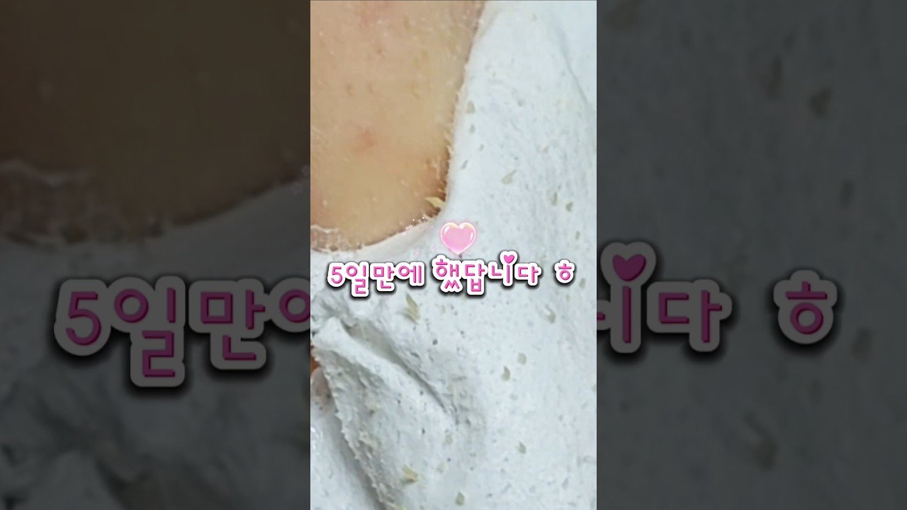 내돈내산으로 드디어 감 잡았습니다