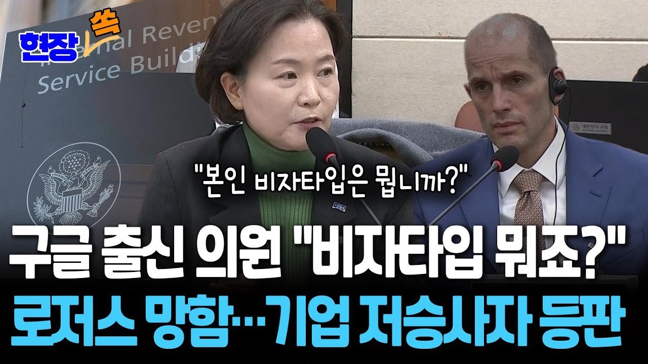 비자 타입을 묻는 해롤드 로저스의 표정 변화