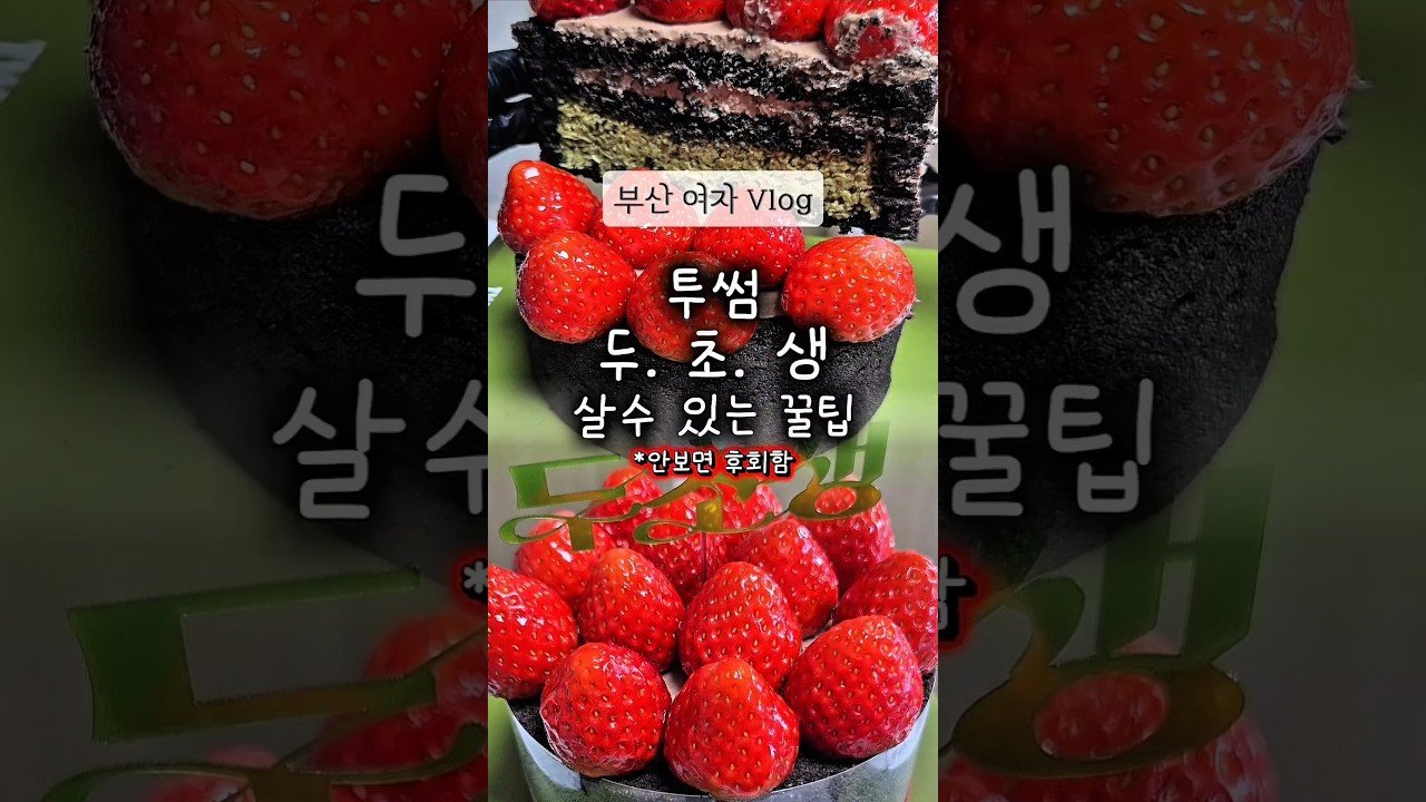 내돈내산으로 경험한 투썸 두초생 디저트 후기
